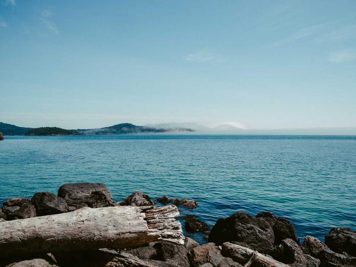 Harbour View
