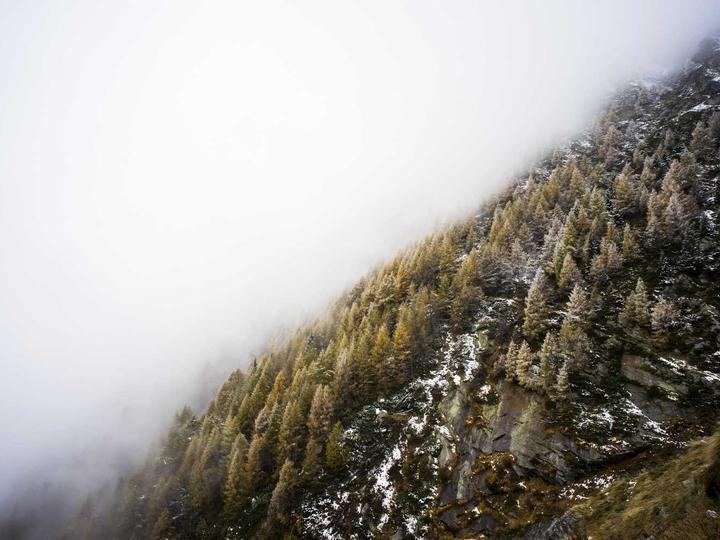 Alpine Ridge