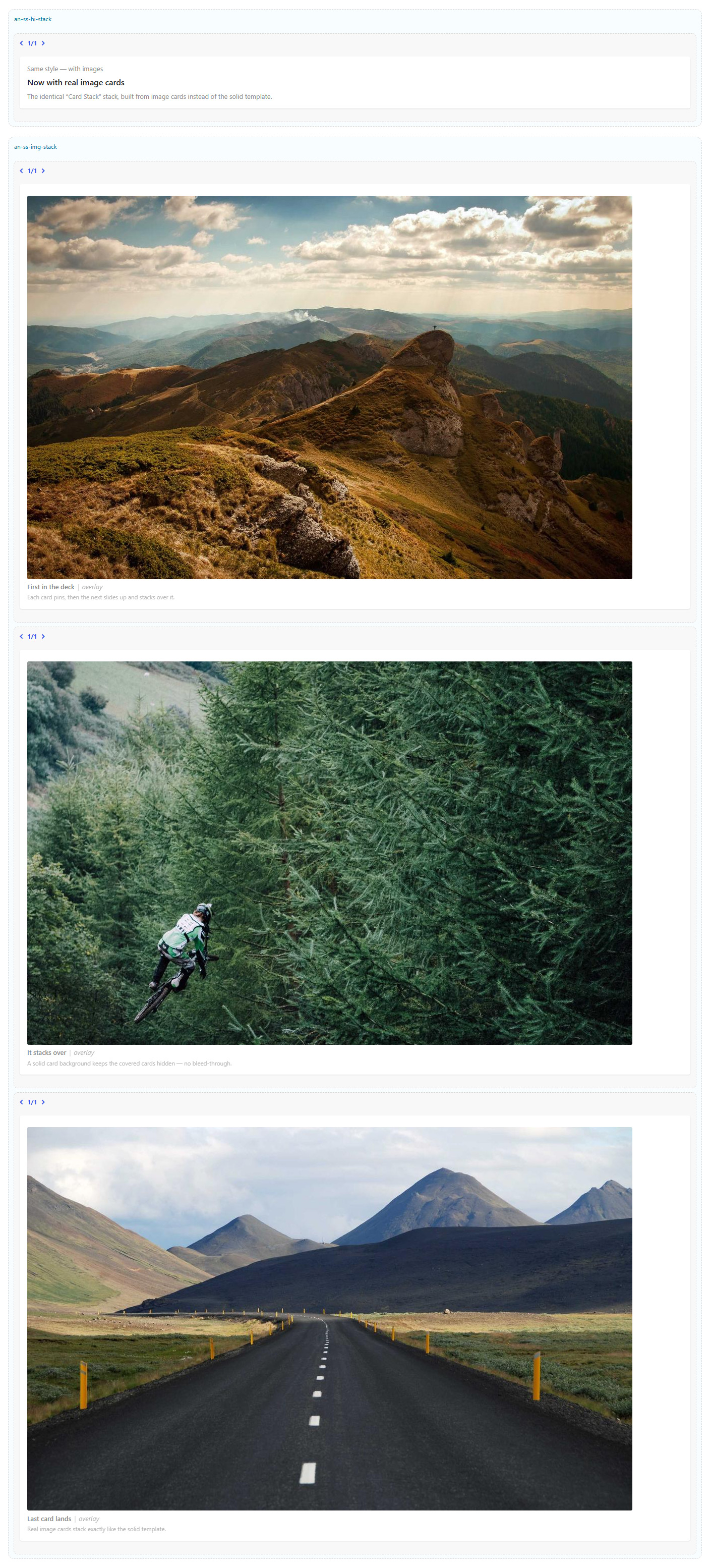 A Section with several full-width image-card columns in the builder